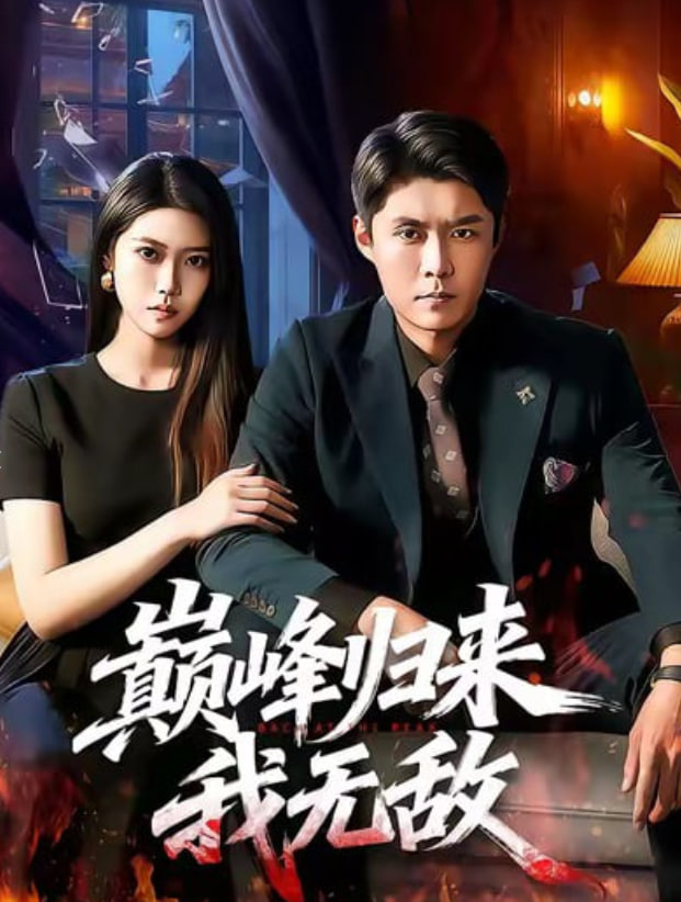 狠狠影院剧集《雾港档案》海报